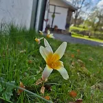 Les Colombages De Bergeval - Ardennes Belges - - Sauna * Trois-Ponts