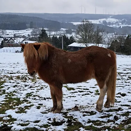 Les Colombages De Bergeval Familial Dans Les Ardennes * Trois-Ponts