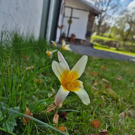 Les Colombages De Bergeval Familial Dans Les Ardennes * Труа-Пон