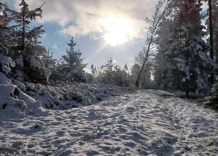Σπίτι διακοπών Les Colombages De Bergeval - Ardennes Belges - - Sauna *