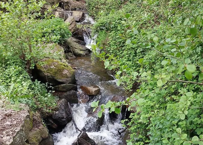 Les Colombages De Bergeval - Ardennes Belges - - Sauna * Trois-Ponts